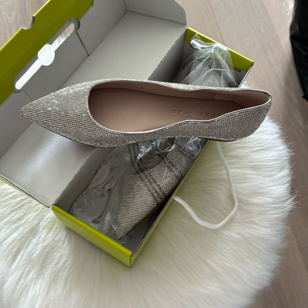 New Silver Shoes
